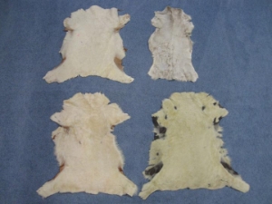 Spanish Sheepskin Shearling: #3: Assorted Color 