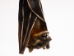 Hanging Greater Short-Nosed Fruit Bat - 1235-10 (Y1ERK)