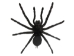 Framed Tarantula - 1237-10 (Y2L)