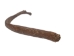 Fossil Bison Rib - 1239-10 (Y1XC06)