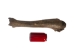 Fossil Bison Leg Bone - 1239-20 (Y1XC13)