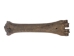 Fossil Bison Metatarsal or Metacarpal - 1239-30 (Y1KC02)