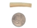 1.5" Coyote Bone Hairpipe - 125-CB-15 (Y1XC14)