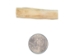 2.0" Coyote Bone Hairpipe - 125-CB-20 (Y1XC16)