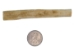 4.0" Coyote Bone Hairpipe - 125-CB-40 (Y1XC16)