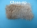 Rabbit Craft Piece: 5x10cm: Bunny Brown - 1259-1L-0510-BB (Y2DRG)