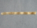 Rabbit Strip: 5x100cm: Bunny Brown - 1259-1L-051M-BB (Y2D)