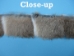 Rabbit Craft Piece: 5x80cm: Bunny Brown - 1259-1L-0580-BB (Y2F)