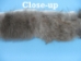 Rabbit Craft Piece: 5x80cm: Brown - 1259-1L-0580-BR (Y1K)