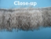 Rabbit Craft Piece: 5x80cm: Chinchilla - 1259-1L-0580-CH (Y2F)