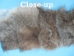 Rabbit Craft Piece: 10x80cm: Bunny Brown - 1259-1L-1080-BB (Y2F)