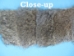 Rabbit Craft Piece: 10x80cm: Bunny Gray - 1259-1L-1080-BG (Y2L)