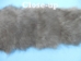 Rabbit Craft Piece: 10x80cm: Brown - 1259-1L-1080-BR (Y2F)