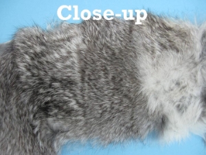 Rabbit Craft Piece: 10x80cm: Chinchilla 