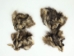Raccoon Fur Scrap (lb) - 126-Scrap (Y1KRF)