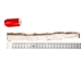 1.5" Bunny Brown Spanish Rabbit Strip (ft)  - 1263-RBSPBB15 (Y1J)