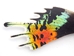 Moth Wing: Urania ripheus: Rear Wing - 1265-01R (Y2I)