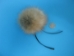 Fur Pompom: Red Fox: Natural - 1267-RFNA (Y2NRA)