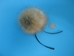 Fur Pompom: Red Fox: Natural - 1267-RFNA (Y2N)