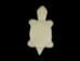 Turtle Bone Pendant with Hole: Small - 128-110S (Y2I)