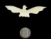 Eagle Bone Pendant With Hole: Big - 128-120B (Y2KC06)