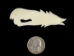 Wolf Bone Pendant with Hole: Medium - 128-130M (Y2IC02)