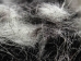 Calf Hair: 10-Gram Bag - 1319-10-AS (Y1KC05)