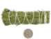 4"-5" Rosemary Bundle - 1326-10-04 (Y3L)