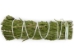 4"-5" Rosemary Bundle - 1326-10-04 (Y3L)