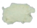 Dyed Better Rabbit Skin: Cream - 134-002 (Y2ERJ)