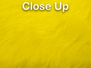 Dyed Better Rabbit Skin: Yellow 