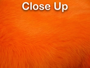 Dyed Better Rabbit Skin: Orange 