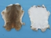 Better Rabbit Skin: Mixed Natural Colors - 134-01NAT (Y3M)(Y2E)(Y2F)