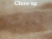 Better Rabbit Skin: Mixed Natural Colors - 134-01NAT (Y2ERP)