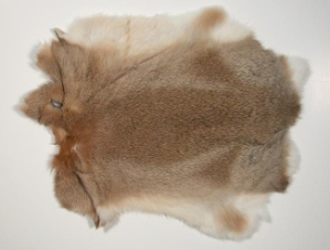 Better Rabbit Skin: Bunny Brown 