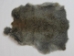 Better Rabbit Skin: Bunny Gray - 134-01NBG (Y2E)