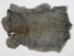 Better Rabbit Skin: Bunny Gray - 134-01NBG (Y2E)