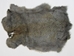 Better Rabbit Skin: Bunny Gray - 134-01NBG (Y2G)