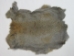Better Rabbit Skin: Bunny Gray - 134-01NBG (Y2E)