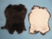 Better Rabbit Skin: Black - 134-01NBK (Y2E)