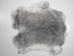 Better Rabbit Skin: Chinchilla - 134-01NCH (Y2E)