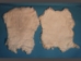 Better Rabbit Skin: Sandy White - 134-01S (Y2ERJ)