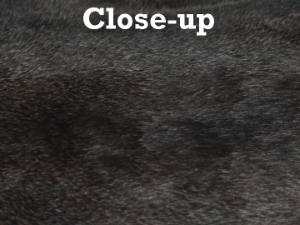 Spanish Garment Rabbit Skin: Mixed Natural Colors 