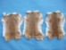 Spanish Garment Rabbit Skin: Fawn - 134-03NFA (Y2E)