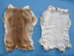 Spanish Garment Rabbit Skin: Fawn - 134-03NFA (Y1I)(Y1K)