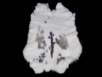 Spanish Garment Rabbit Skin: Natural: Spotted Brown & White 