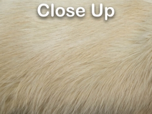 Dyed Better Rabbit Skin: Tan 