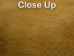 Dyed Better Rabbit Skin: Golden Brown - 134-050 (Y2E)