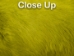 Dyed Better Rabbit Skin: Light Olive - 134-060 (Y2ERL)