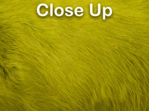 Dyed Better Rabbit Skin: Light Olive 